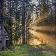 Целиком новая серия моих арт фотографий