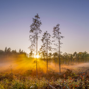 I am a finalist of National Geographic Russia Magazine photo contest